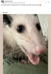 Opossum 180 FB