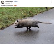 Opossum 209 FB