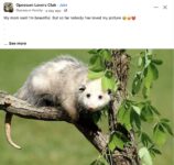 Opossum 264 FB