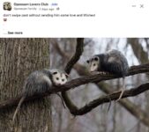 Opossums 100 FB