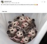 Opossums 96 FB