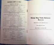 1911 9 9  Minnesota State Fair program EVENT 7 CASE Car 2 “White Streak” Joe Jagersberger screenshot