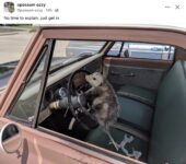 Opossum 292 at wheel FB