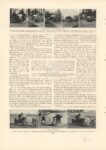 1905 8 HANDLING A RACING AUTOMOBILE article By Arthur Huntington Gleason COUNTRY LIFE IN AMERICA 10″×14″ page 408