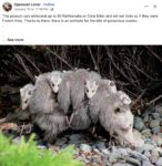 Opossums 166 FB