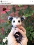 Opossum 585 FB