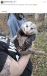 Opossum 670 FB