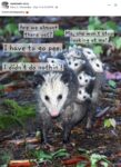 Opossums 240 FB