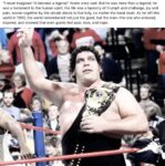 Wrestling Andre the Giant 2 FB