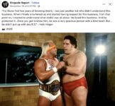 Wrestling Hulk Hogan and Andre the Giant FB