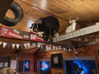 2025 9 6 Seneca Lodge Watkins Glen, NY Bear and Jackalope