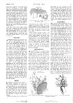 1913 1 9 NATIONAL article MOTOR AGE Page 37