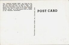 1950 ca Rice Lake, WIS the FRIENDLY BUCKHORN World’s Record Deer postcard back screenshot UP