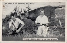 1950 ca Rice Lake, WIS the FRIENDLY BUCKHORN World’s Record Deer postcard front screenshot UP