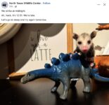 Opossum 761 FB