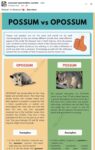 0001a POSSUM vs. OPOSSUM FB
