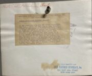 1904 Vanderbilt Cup Race back screenshot