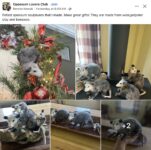 Opossums 275 FB