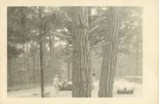 1950-1956 Pebble Beach Road Races “Racing in the Pines” C-Jaguar + Kurtis – Mercury behind the tree. 7″×5″ photo 09