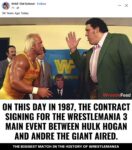 1987 Wrestling Hulk vs. Andre the Giant FB