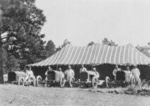 1924 Lexington Team Courtesy of Regional History & Genealogy, Pikes Peak Library District – 013-5732