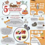 5 Ways to Improve Your Cat’s Diet FB