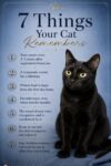 7 Things Your Cat Remembers FB