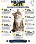 9 REASONS CATS MAY CHOOSE FB