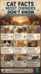 CAT FACTS FB