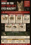 CATS Healthy Eyes FB