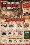 CATS Is Your Cat Angry? FB