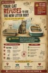 CATS Refuses to Use Litter Box Fb