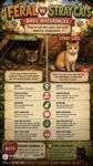 FERAL vs STRAY CATS FB