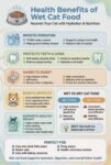 Health Benefits of Wet Cat Food FB