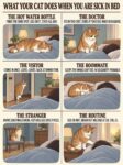 WHAT YOUR CAT DOES WHEN YOU ARE SICK IN BED FB