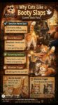 Why Cats Like Booty Slaps FB