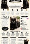 CAT BREED GUIDE FB
