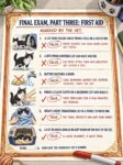 CAT First Aid Final FB