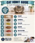 CAT VOIMIT GUIDE FB