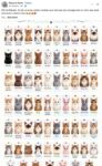 CATS 69 Cat Breeds FB