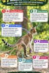CATS Are Excellent Hunters FB