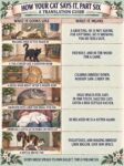 CATS How Your Cat Says It 6 FB