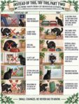 CATS Instead of This, Try This 2 FB