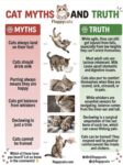 CATS Myths and Truth FB