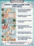CATS Someone At Home Is Allergic To Him FB