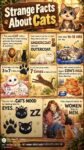 CATS Strange Facts About Cats FB